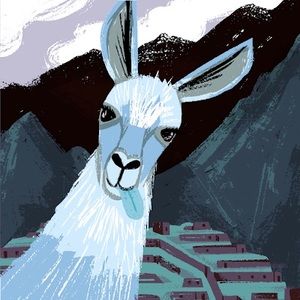 Meet your Posher, Haidy